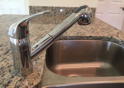 Mustang Kitchen Faucet and Sink